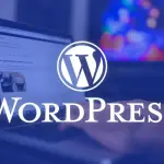 WordPress: perchè è tra i CMS più usati al mondo
