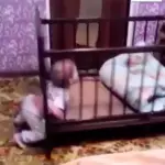 L'evasione perfetta dalla Culla