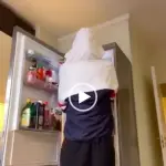 Scherzo del Frigorifero