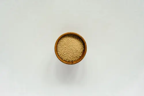 Miglio: proprietà nutrizionali e usi in cucina