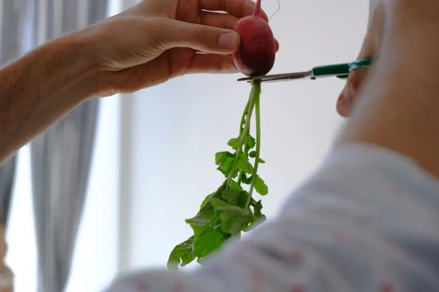 Ravanelli: come cucinarli oltre l'insalata