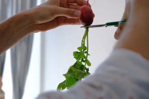 Ravanelli: come cucinarli oltre l'insalata