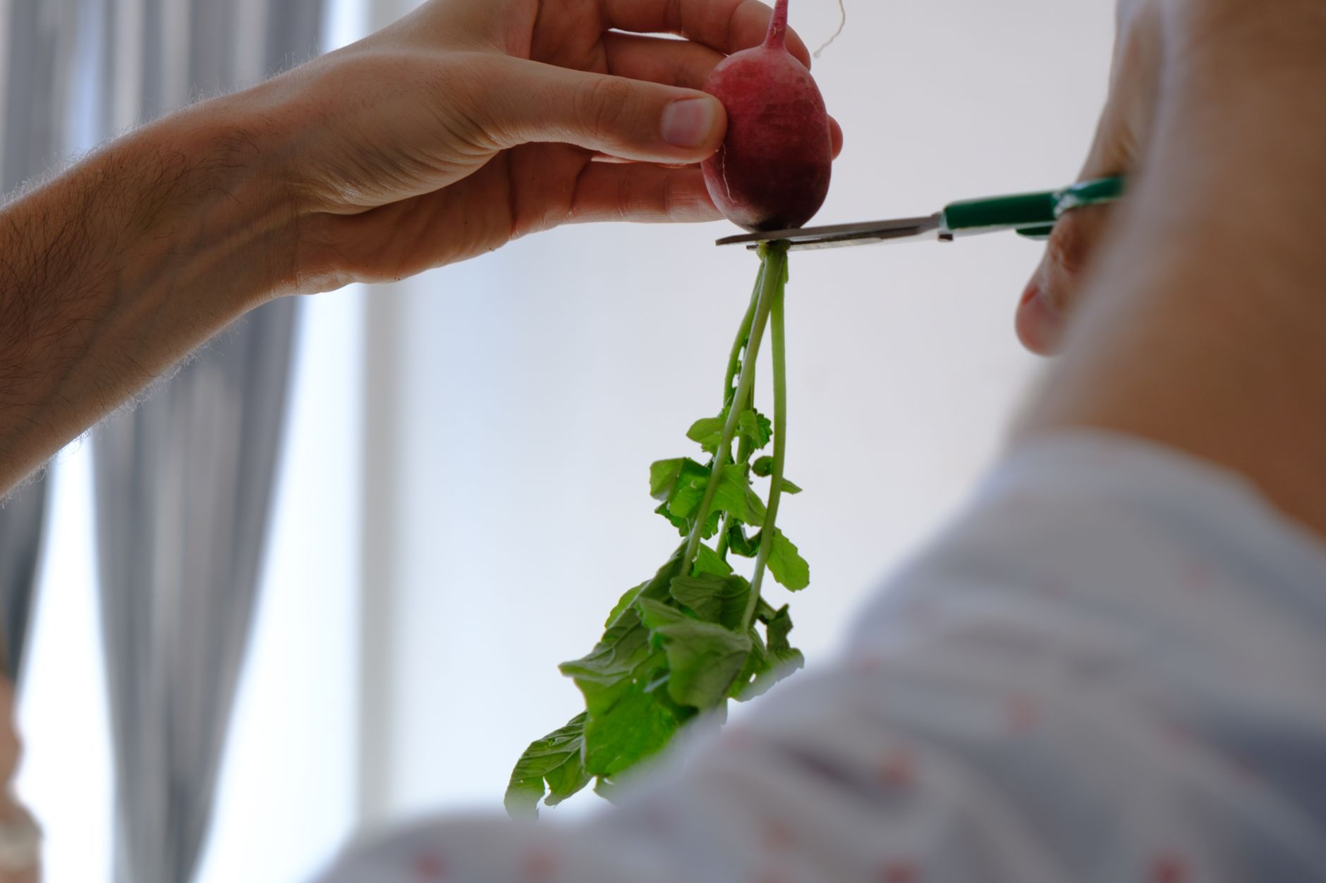 Ravanelli: come cucinarli oltre l'insalata