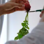 Ravanelli: come cucinarli oltre l'insalata