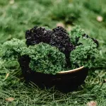Cavolo nero: proprietà e usi in cucina