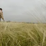 Uomo che passeggia in un Campo di Grano