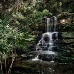 Giardino Botanico Zilker con Cascate