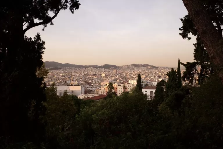 Barcellona in uno Scorcio tra gli Alberi