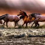 Cavalli che Corrono in Mare