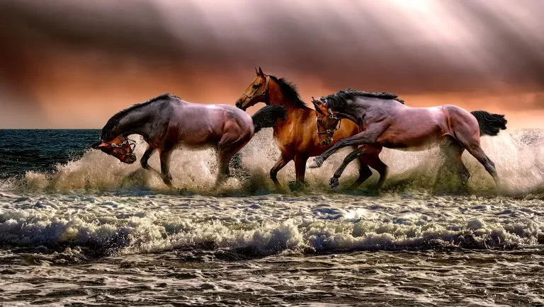 Cavalli che Corrono in Mare