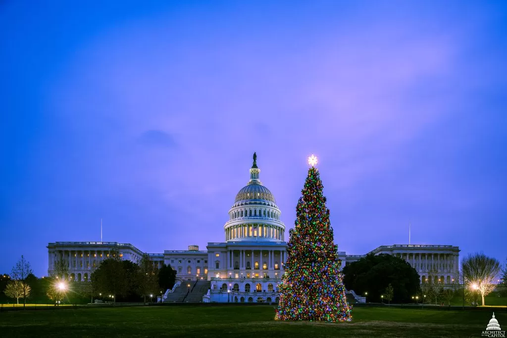 Albero di Natale a Washington