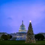 Albero di Natale a Washington