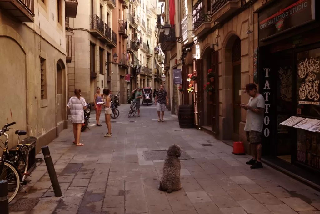 Stradina nel Centro di Barcellona