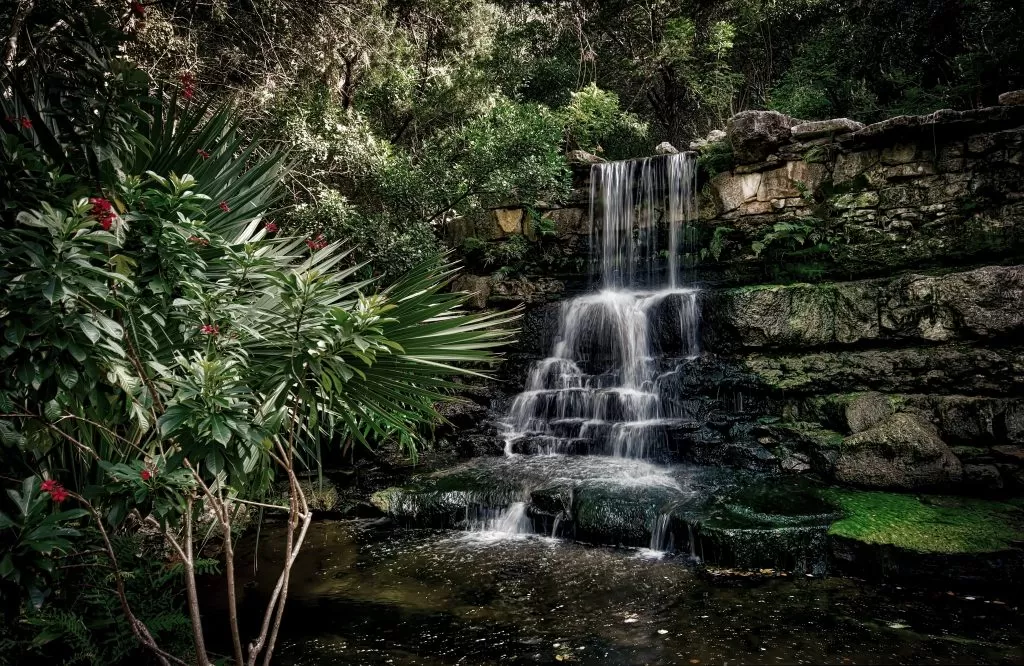 Giardino Botanico Zilker con Cascate