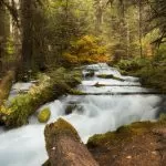 Cascata nel Bosco