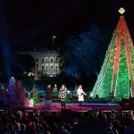 Illuminazione Albero di Natale Nazionale