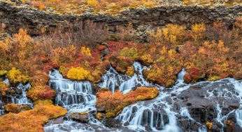 Cascate