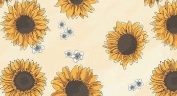 Girasoli