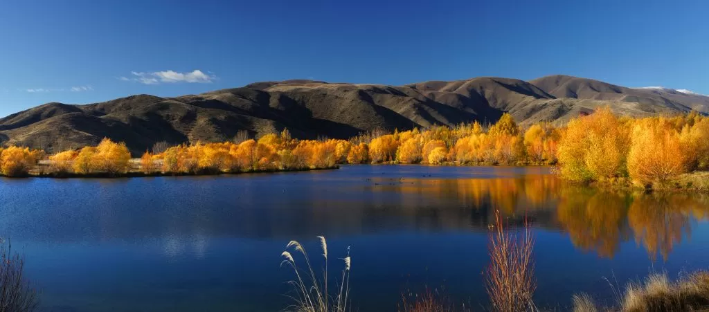 Foliage in Autunno