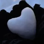 Cuore di Neve