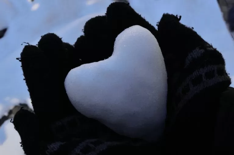 Cuore di Neve