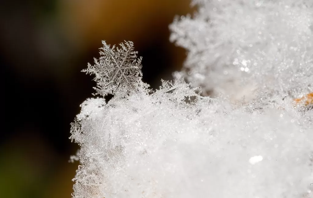 Fiocco di Neve