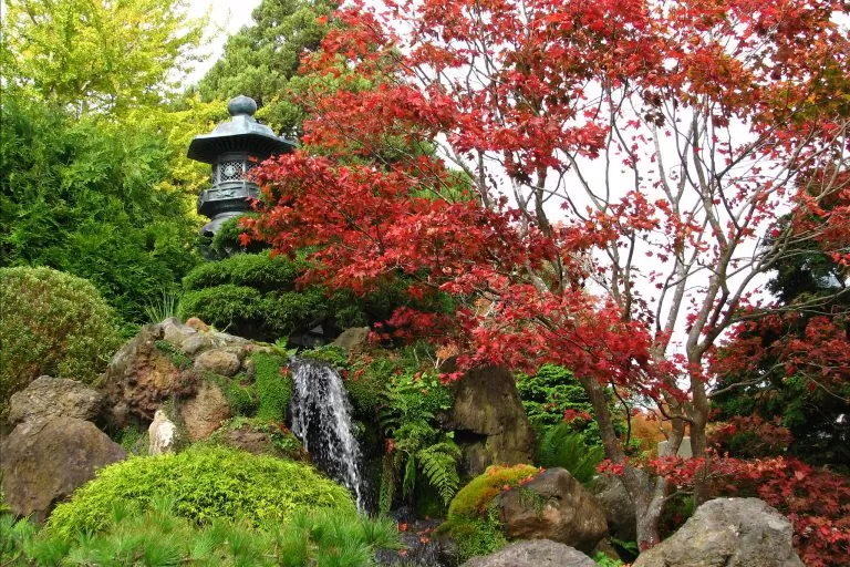 Giardino Giapponese con Ruscello