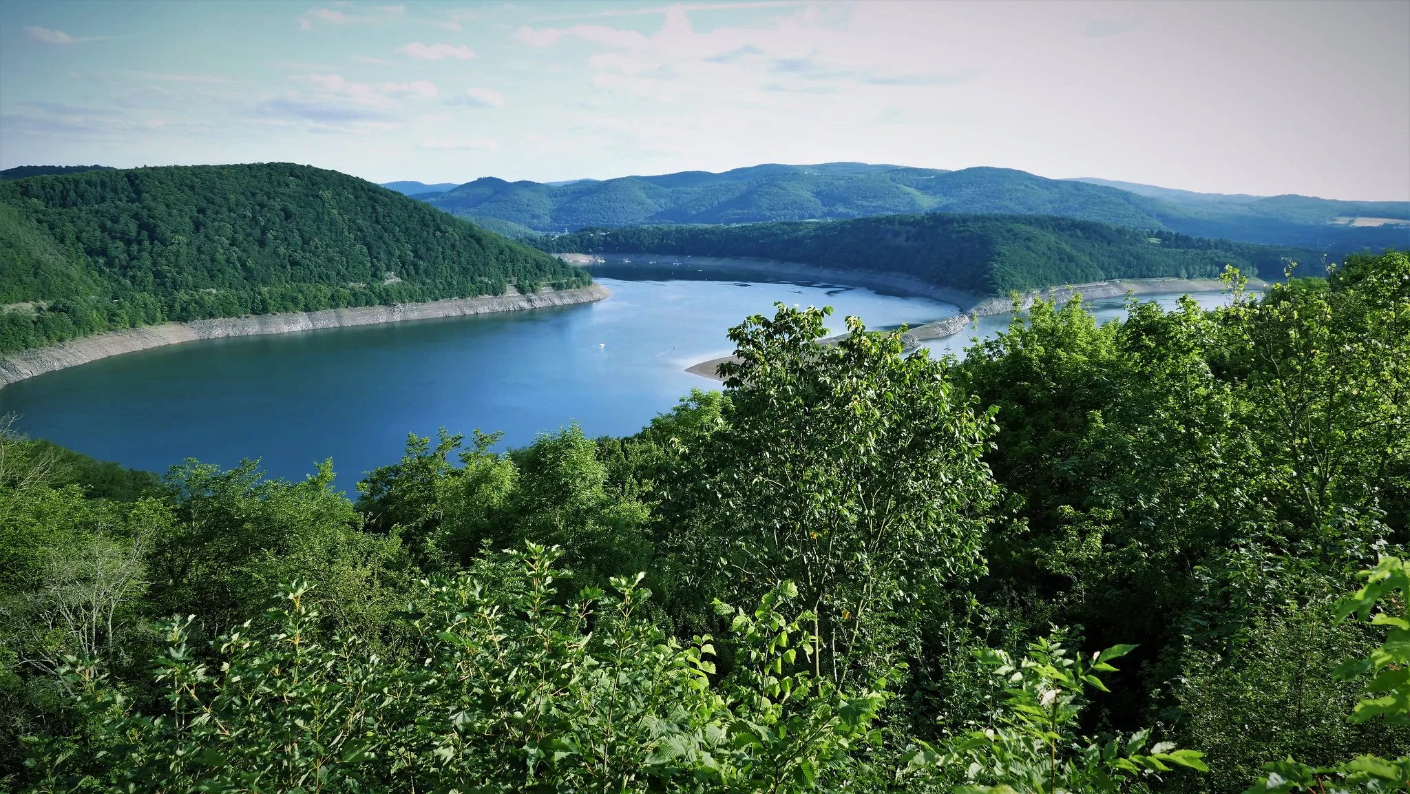 Lago circondato da Vegetazione