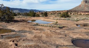 Riserve d’acqua nel Deserto