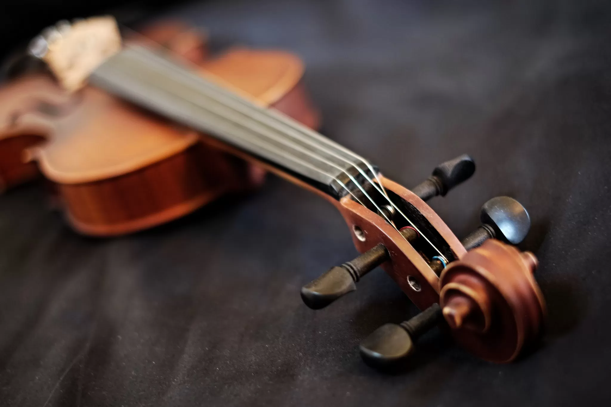 Violino in primo piano