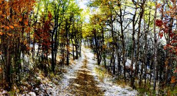Autunno ad Alberta