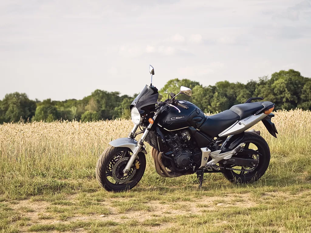 Honda in un campo di grano