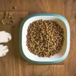 Alimentazione per Cani anziani